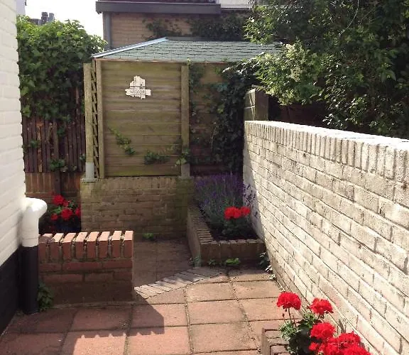 Continentaiz * Zandvoort