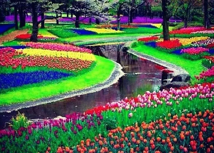 Continentaiz Zandvoort